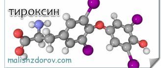 What develops with a lack of thyroxine in a child?