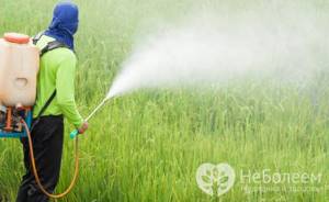 Как происходит отравление пестицидами?