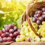 Как происходит отравление виноградом?
