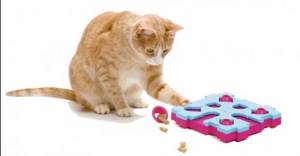 Кошка может проглотить мелкие игрушки