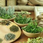 Лекарственные травы, очищающие кишечник