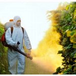 Обработка растений пестицидами