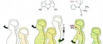 opioid classification