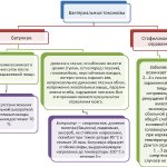 Food bacterial poisoning: types and their treatment