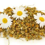 Benefits of chamomile for the intestines