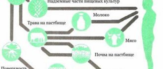 Radiation entering the body