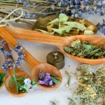 Растения-лекари