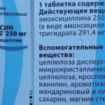 Состав Флемоксин Солютаб