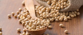 Soy: benefits and harms