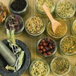 Травы для печени