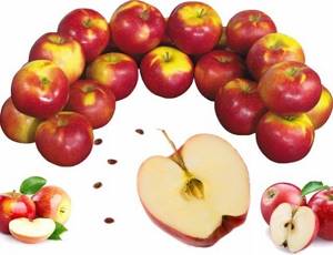 Все, что мы должны знать про яблоки и яблочные косточки: почему можно есть косточки от яблок